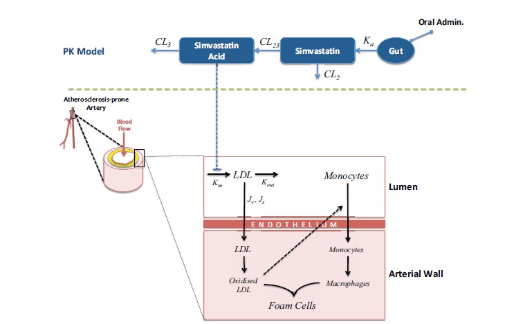 Fig. (8)