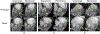 FIG 9.