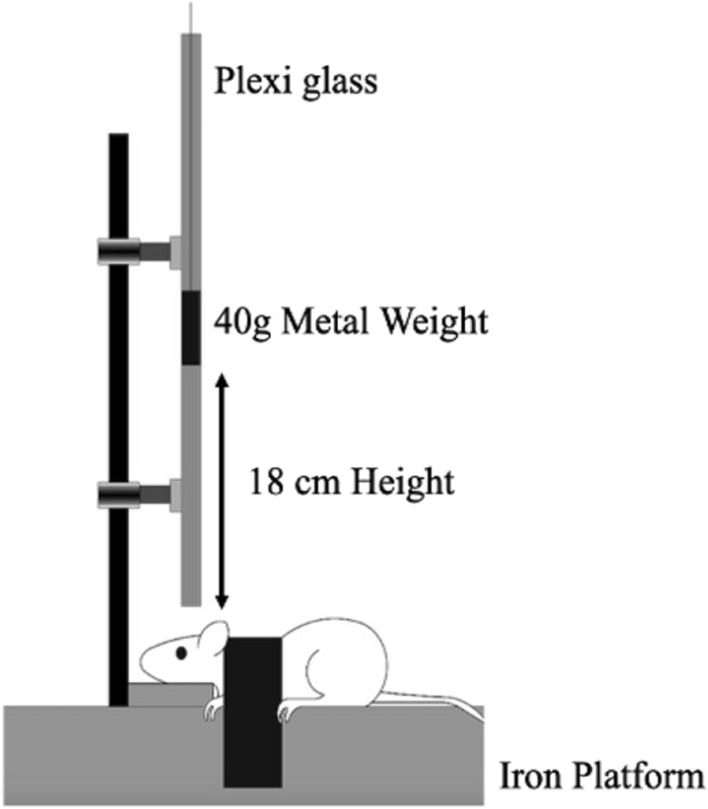 Figure 8