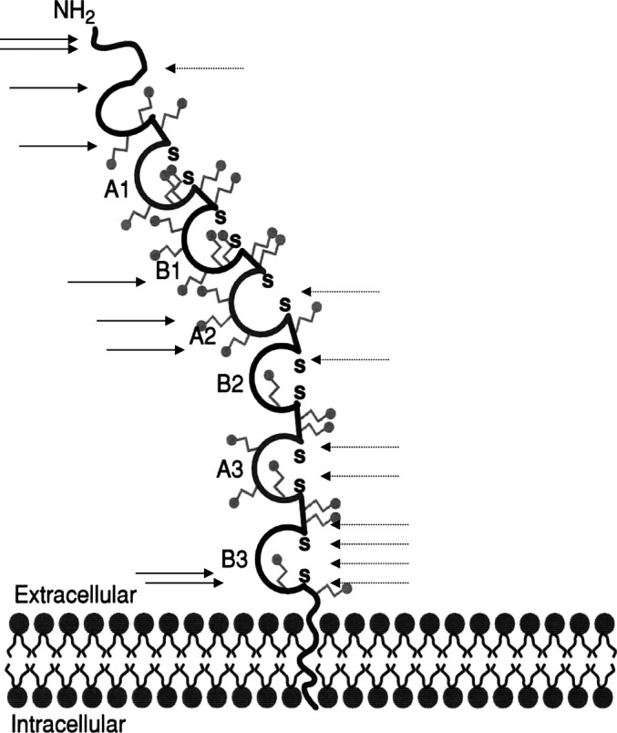 Fig. 2