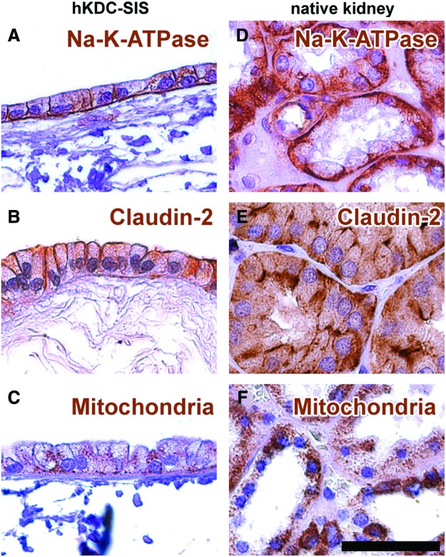 FIG. 7.