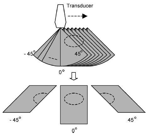 Fig. 14