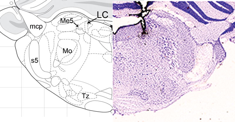 Figure 7