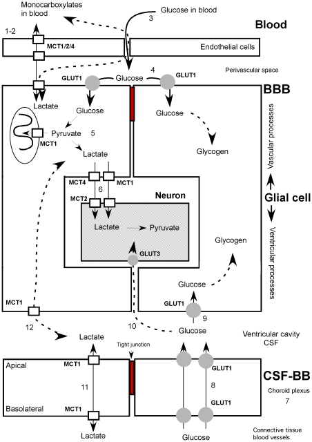 Figure 12