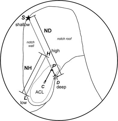 Fig. 3