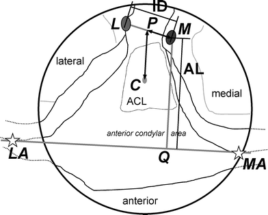 Fig. 5