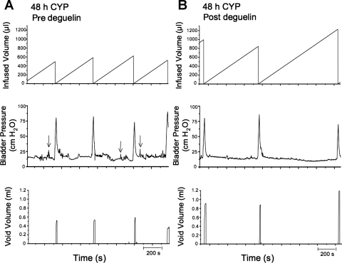 Fig. 6.