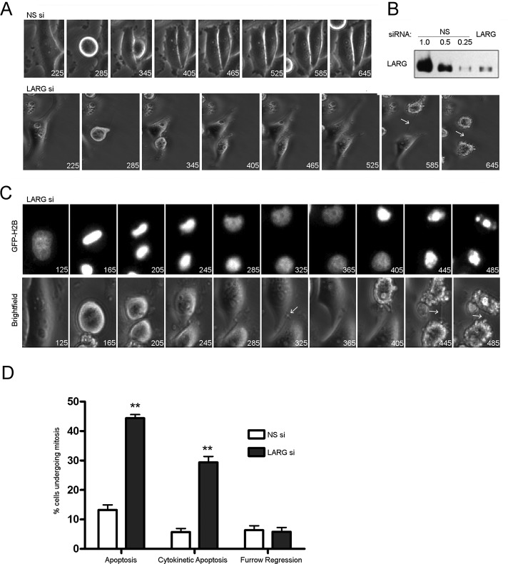 FIGURE 3: