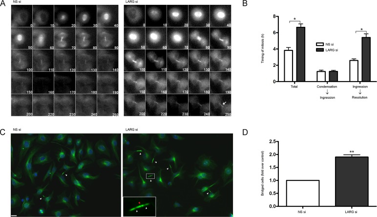 FIGURE 4: