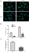 FIGURE 5: