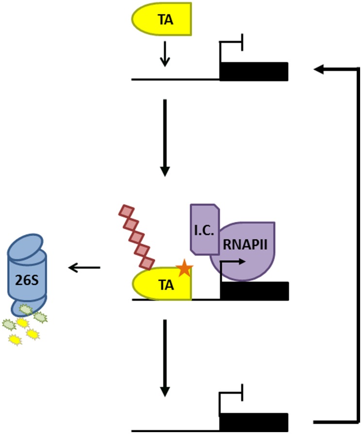 FIGURE 1