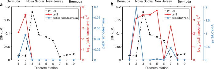 Fig. 7