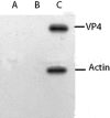 FIG. 8.