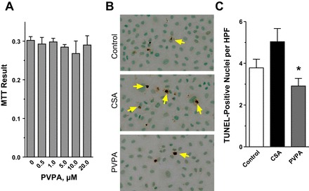 Fig. 8.