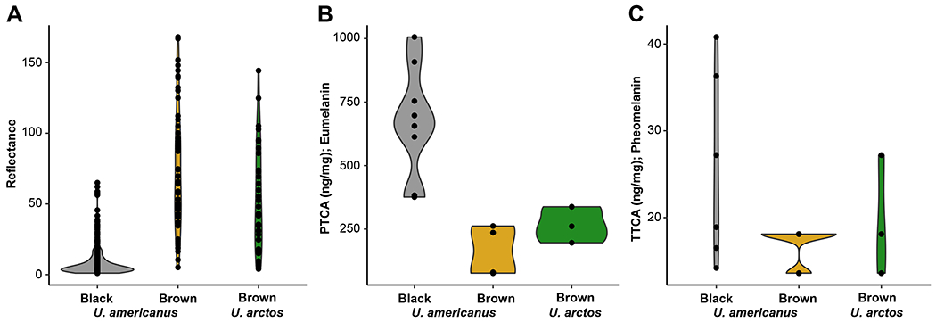 Figure 1-