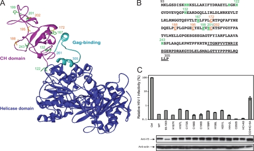 FIGURE 6.