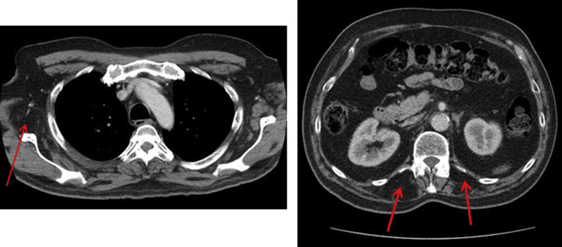 Fig. 2