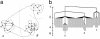 Fig. 1.