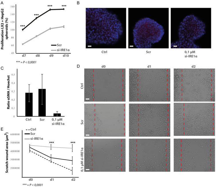 Figure 9—figure supplement 1.