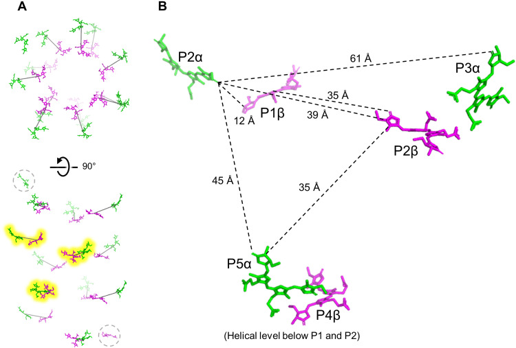 Fig. 4.