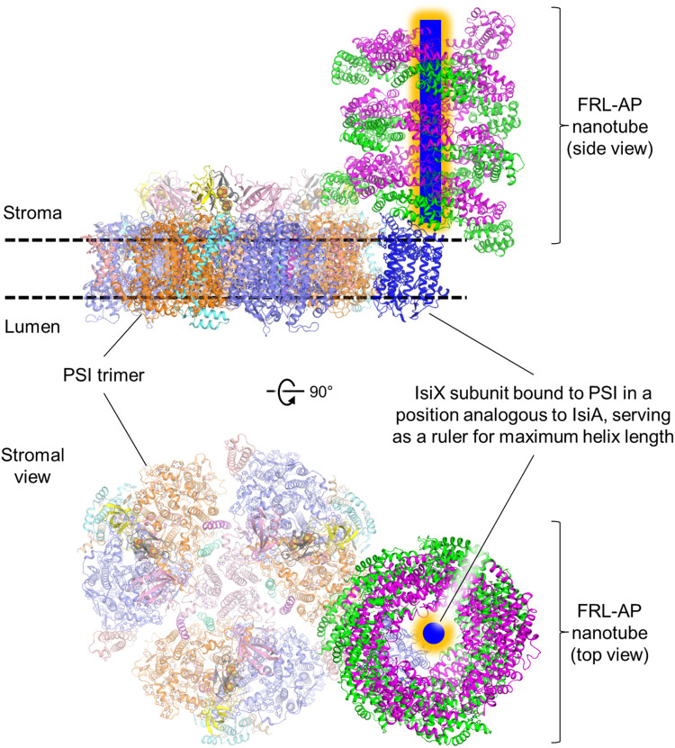 Fig. 7.