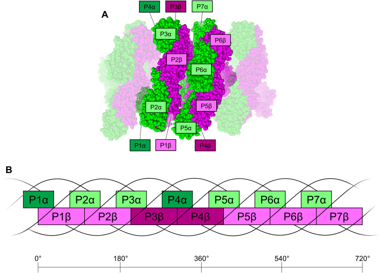 Fig. 3.