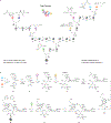 Figure 3 |