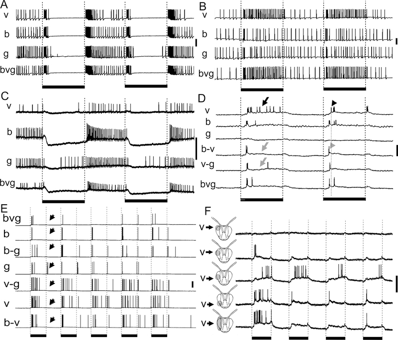 Fig. 5.