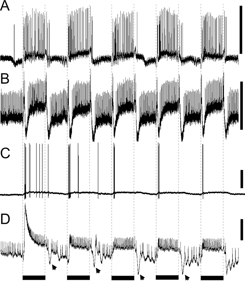 Fig. 6.