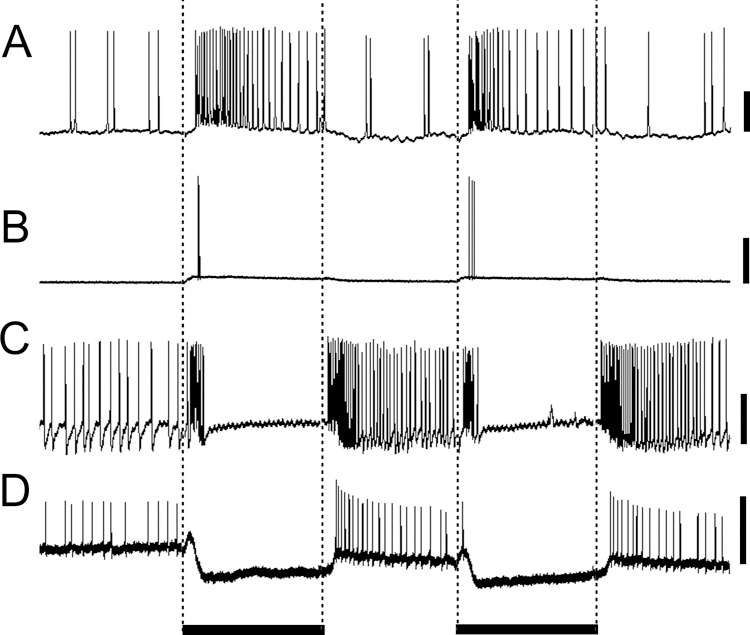 Fig. 4.