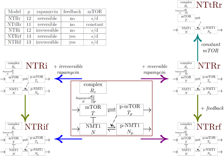 Fig. 7