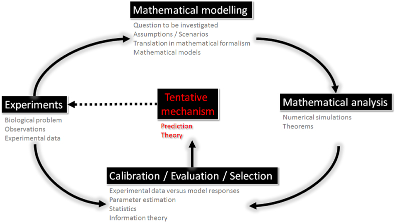 Fig. 1