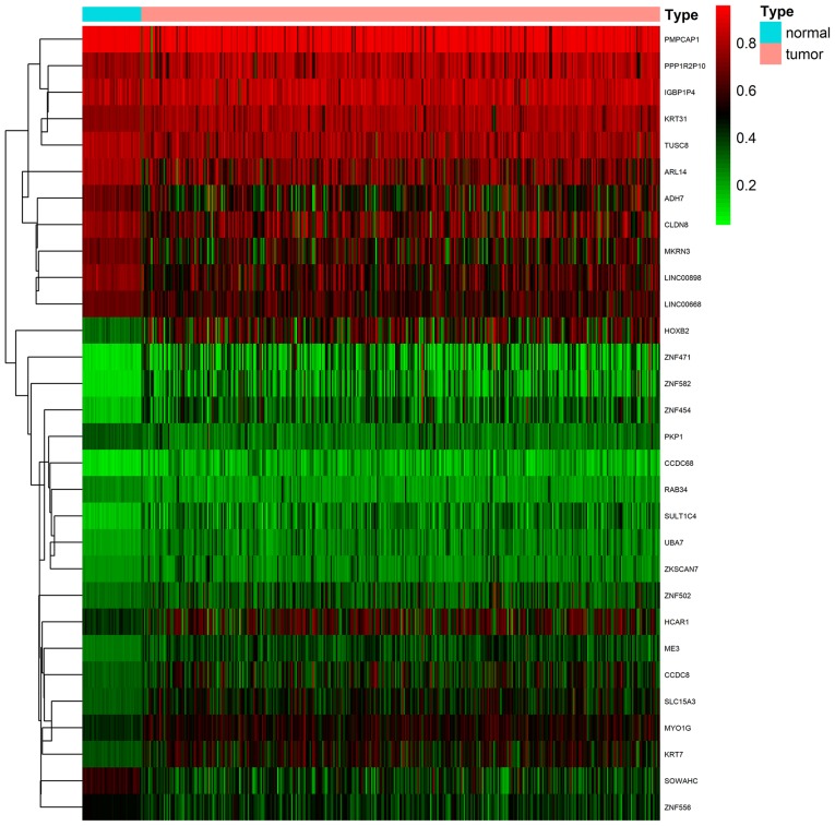 Figure 1.