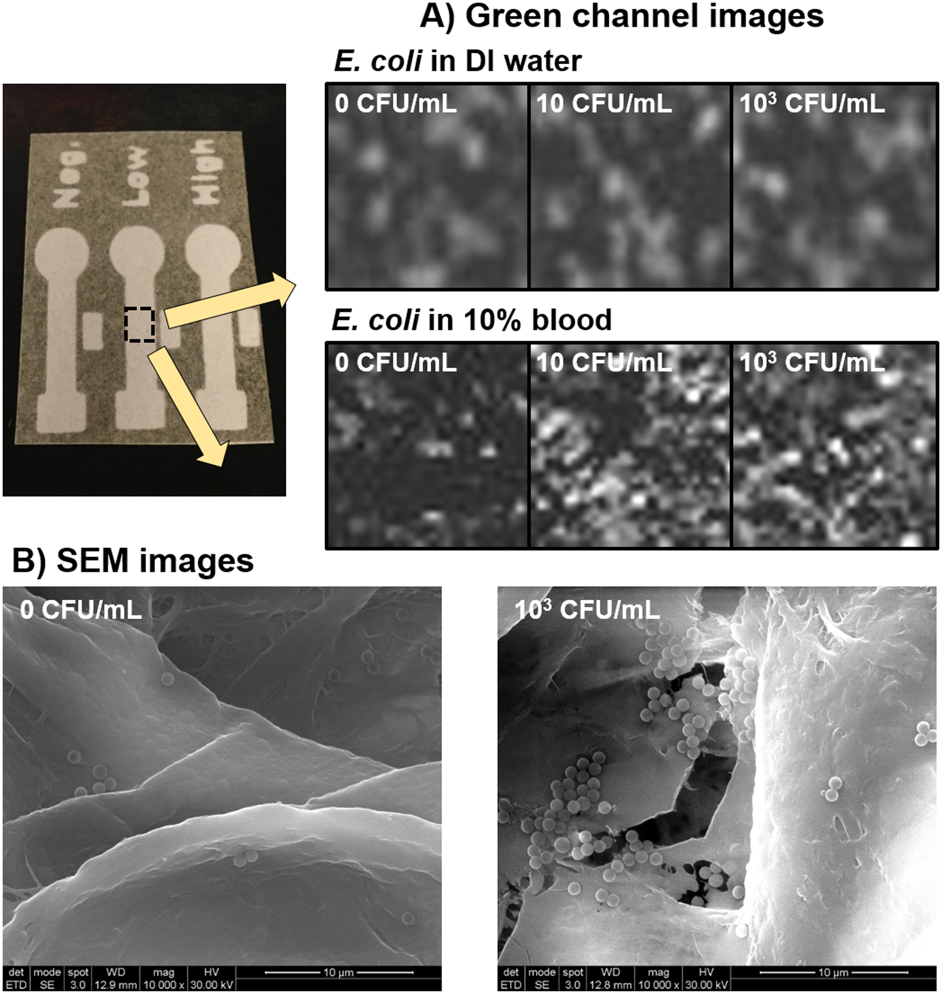 Figure 6: