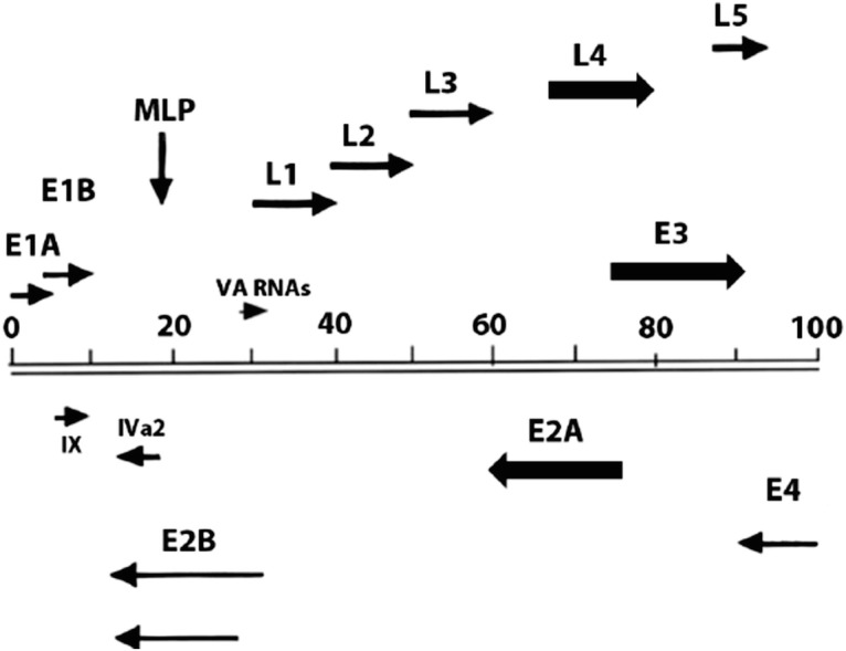 Fig. 1.1