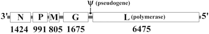 Fig. 1.6