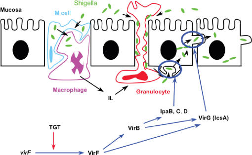 Figure 2.