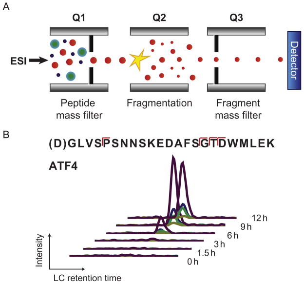 Figure 13.4