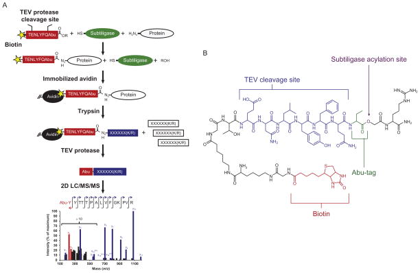 Figure 13.1