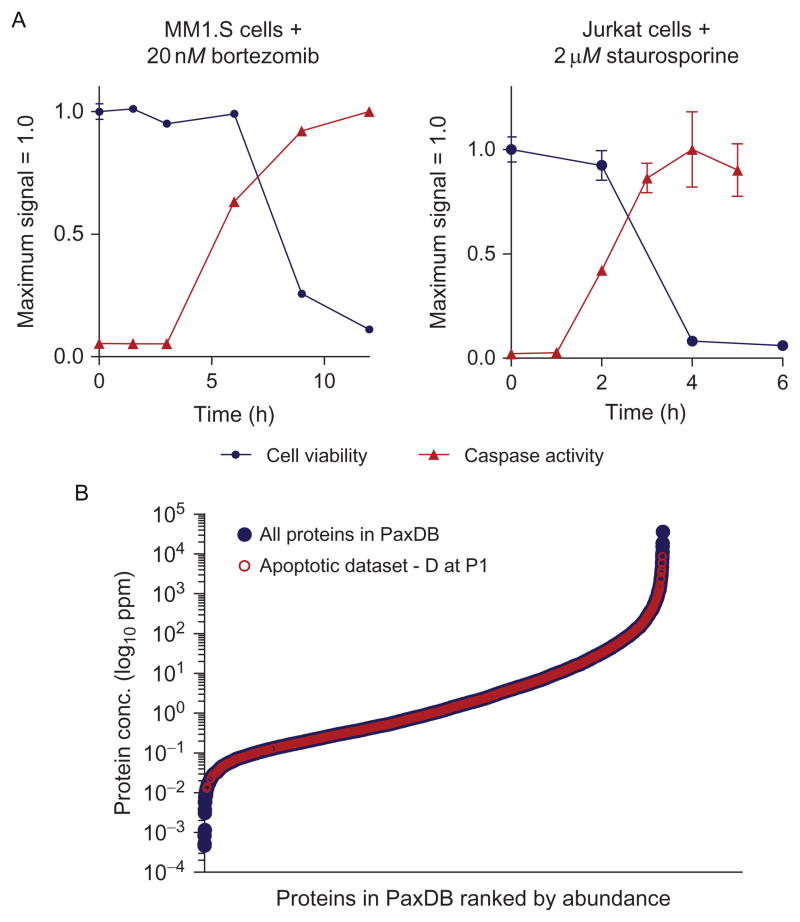 Figure 13.3