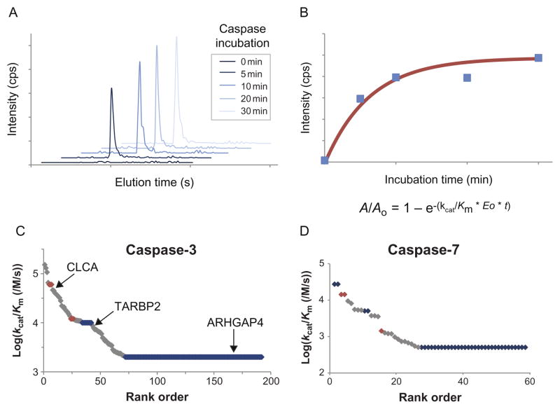 Figure 13.5