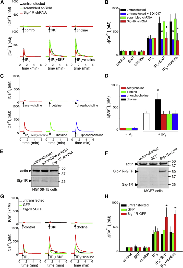 Figure 2