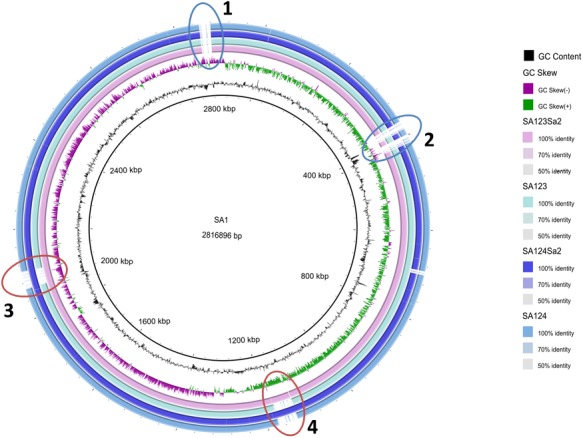 FIGURE 1