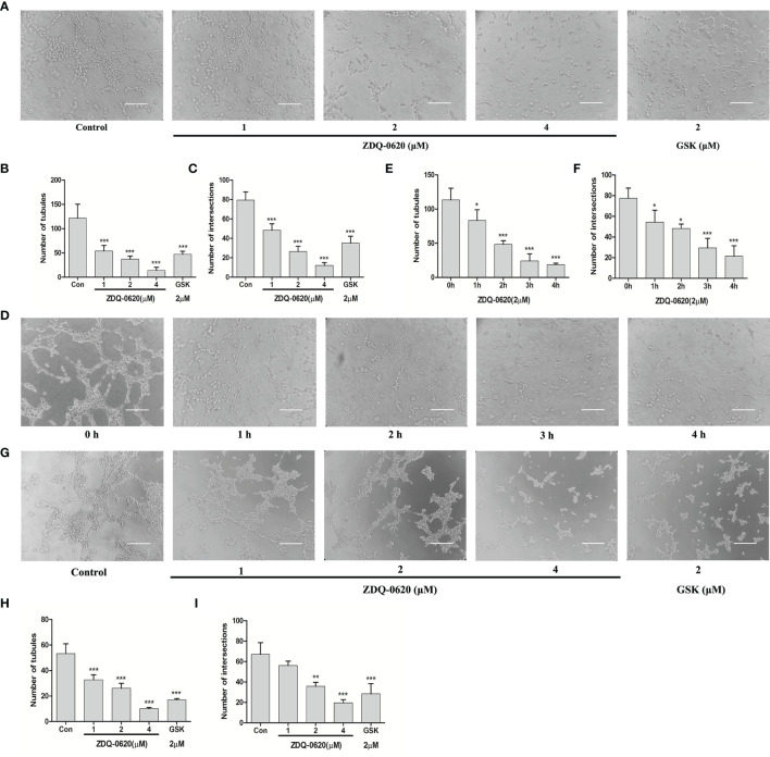 Figure 7