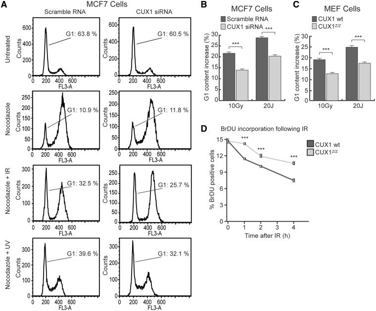 Figure 5.