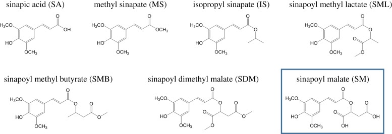 Figure 19.