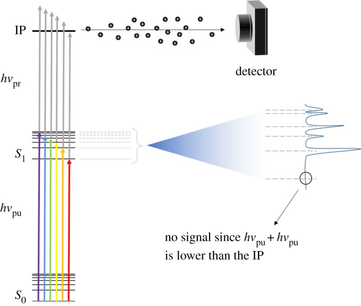 Figure 6.