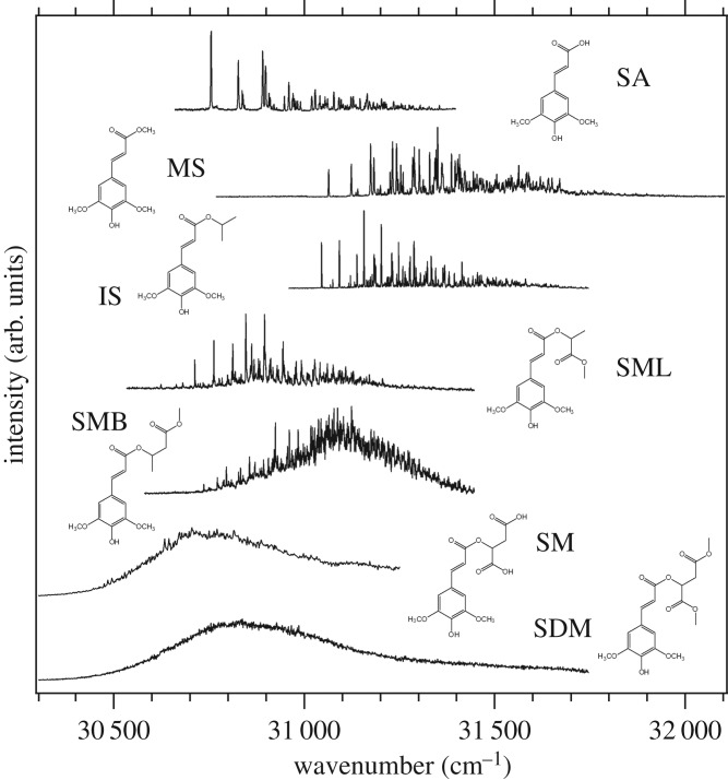 Figure 20.