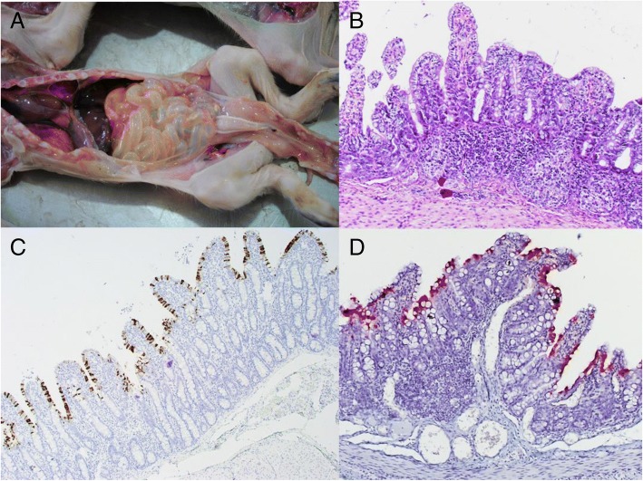 Fig. 1