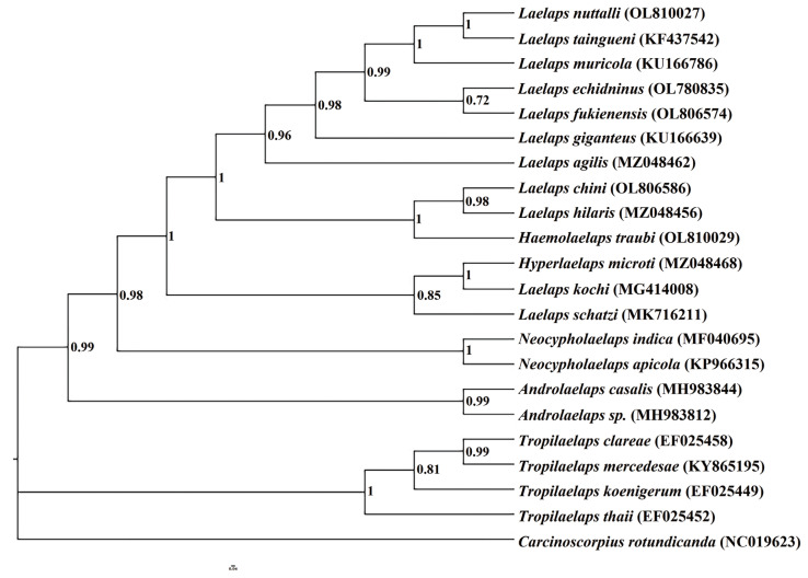 Fig. 3